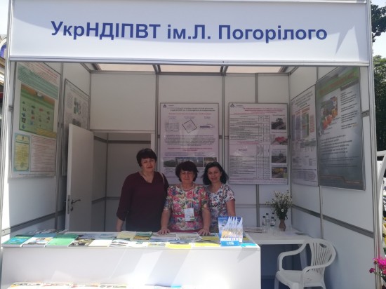 Ĳ . .   ղ ̳   -2019