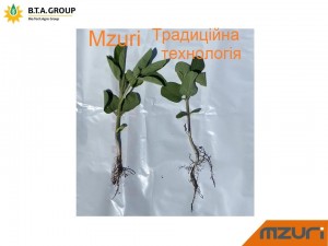 Ефективності використання посівного комплексу Mzuri Pro-Til 3Т.