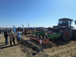 &#127806;   2025: ,   ! &#128668;&#10024;